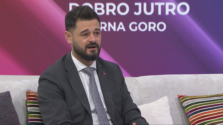 Laketić: Integrisani sistem za upravljanje prihodima u upotrebi od 12. januara