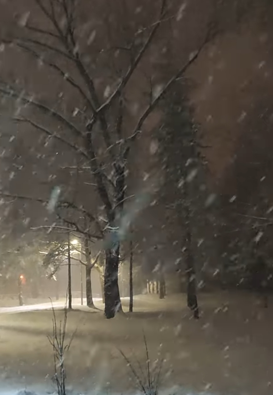 Na sjeveru sjutra snijeg