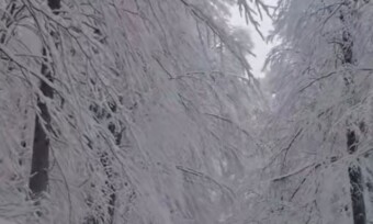 NP Biogradska gora zatvoren za posjetioce