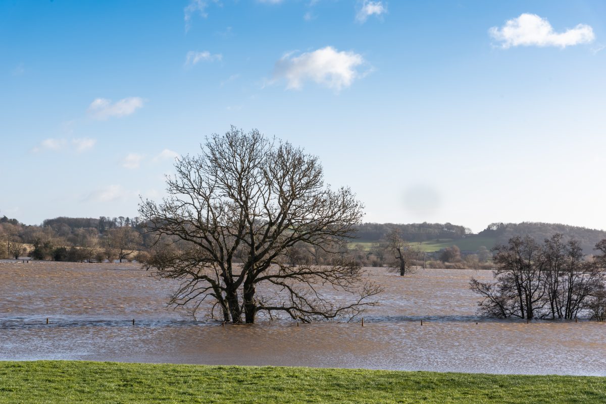 Jedna osoba stradala u poplavama u Albaniji
